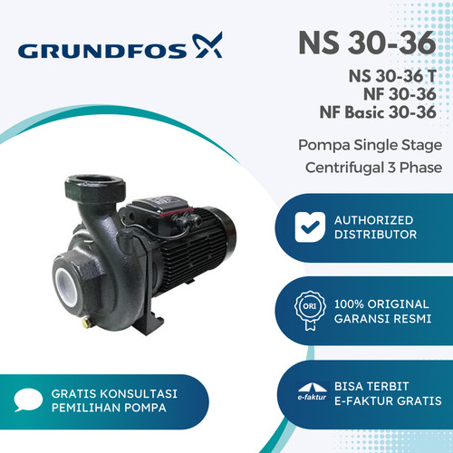 [EZM.2000095] Single Stage Centrifugal Grundfos NS 30-36 T