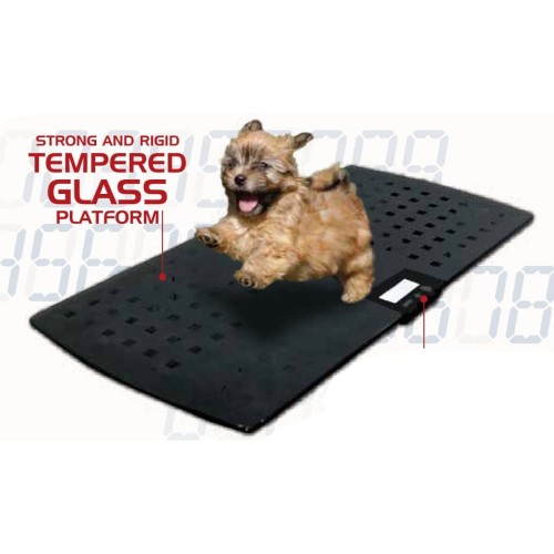 [EZR.0200131] Timbangan Hewan - ACIS AB-150C (KD-PSP) - Anti Slip Surface