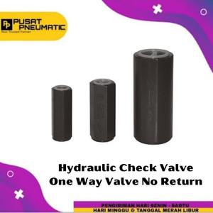 [EZM.9501584] 1" One Way Check Valve Hydraulic 3000 PSI 1 Inch Type CIT-08