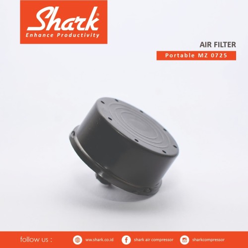 Air Filter Kompressor MZ 07-25 Shark