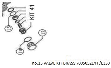 [10028938] VALVE KIT BRASS 700505214 F/E350