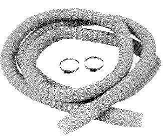 [10028438] HOSE STANDARD 3M 80553100 F/IVT1000