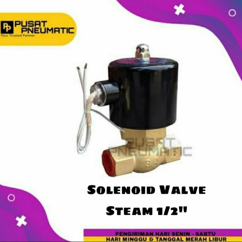 [EZM.9502272] 1/2" Selenoid Valve Steam 2 Way Solenoid Us 15 1/2"