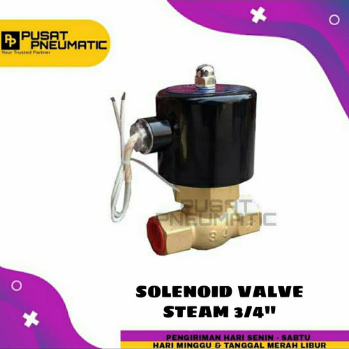 [EZM.9502308] 3/4" Selenoid Valve Steam 2 way Solenoid Us 20 3/4"