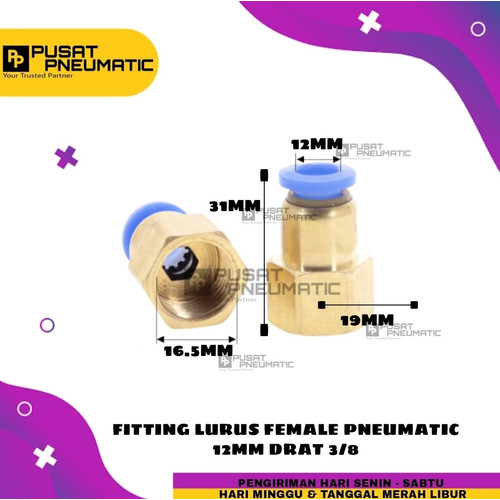 [EZM.9503255] FITTING LURUS FEMALE PNEUMATIC SELANG 12MM DRAT 3/8"(16mm)