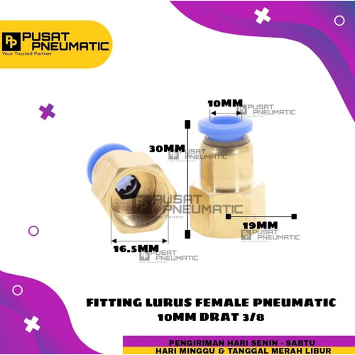 [EZM.9503258] FITTING LURUS FEMALE PNEUMATIC SELANG 10MM DRAT 3/8"(16mm)