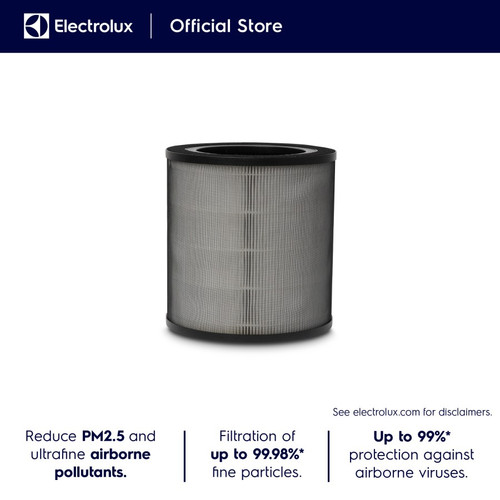 FILTER AIR PURIFIER ELECTROLUX FA41-402GY DN.66
