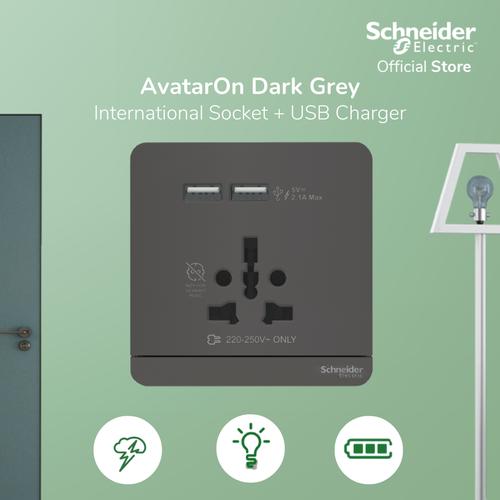 [EZM.4100130] Schneider Electric AvatarOn Int Socket 16A USB 2.1A - E8342616USB_DG