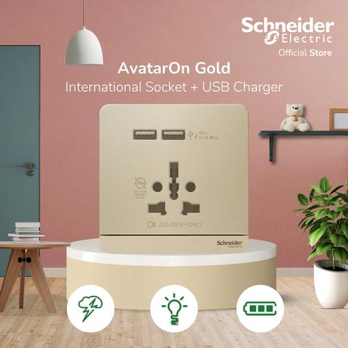 [EZM.4100390] Schneider Electric AvatarOn Int Socket 16A USB 2.1A - E8342616USB_WG
