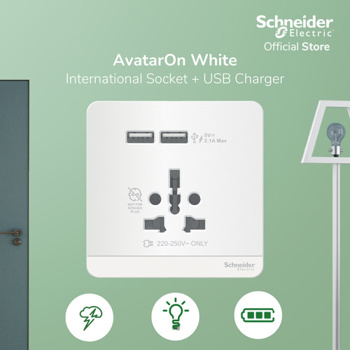 [EZM.4100131] Schneider Electric AvatarOn Int Socket 16A USB 2.1A - E8342616USB_WE