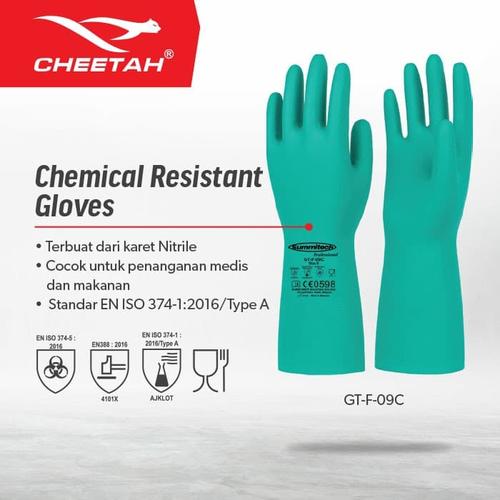[EZO.1200050] Cheetah Chemical Resistant Gloves