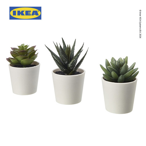 [EZO.0501317] IKEA FEJKA Tanaman Hias Palsu Sukulen dengan Pot 6cm Isi 3pcs