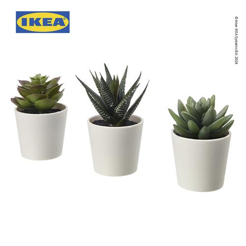 [EZO.0501317] IKEA FEJKA Tanaman Hias Palsu Sukulen dengan Pot 6cm Isi 3pcs