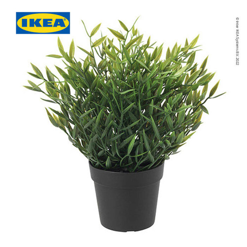 [EZO.0501648] IKEA FEJKA Tanaman Hias Bambu Keberuntungan dengan Pot 9 cm