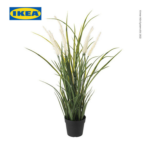 [EZO.0501674] IKEA FEJKA Tanaman Hias Rumput dengan Pot 9 cm