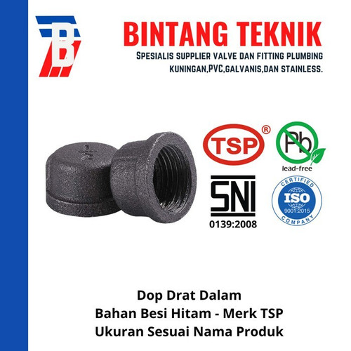[EZR.2700943] Dop 1 1/4" inch Besi Hitam TSP