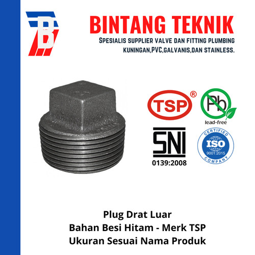 [EZR.2700958] Plug 1/2" inch Besi Hitam TSP