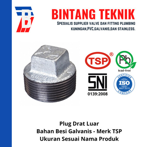 [EZR.2700963] Plug 3/4" inch Besi Galvanis TSP
