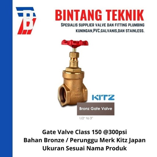 [EZR.2701036] Gate Valve 2 1/2" inch Bronze Kitz Class #150