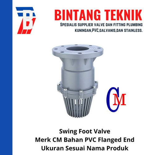 [EZR.2701235] Swing Foot Valve PVC 4" inch CM Taiwan - Flange