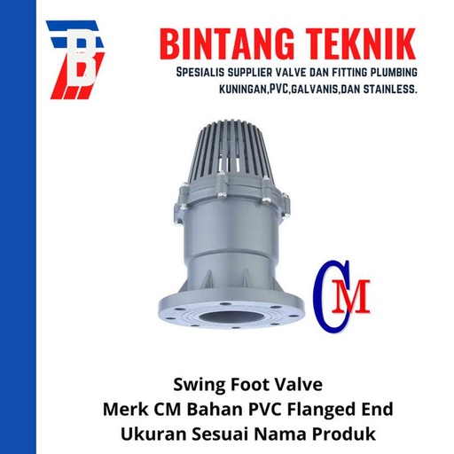 [EZR.2701236] Swing Foot Valve PVC 3" inch CM Taiwan - Flange