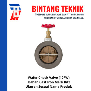 [EZR.2700230] Wafer Check Valve 4" inch Cast Iron Kitz (10FW)