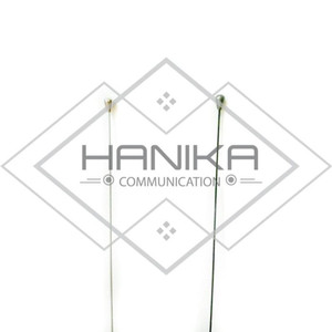 [EZO.1000571] D Antenna PO-150 Silver Packing Paralon Antena Larsen PO150 Ori Taiwan