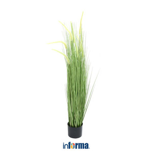 [EZO.0602269] Informa 64X110 cm Tanaman Buatan Bristlegrass G37 - Hijau Tumbuhan Tanaman Buatan Dekorasi Plant Sintetis Pajangan Rumah Serbaguna Hiasan Properti Foto