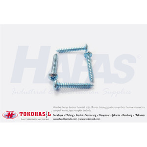 [EZR.2300268] Tapping Screw PH+ #6 x 1" (putih) | Sekrup - 1000 pcs