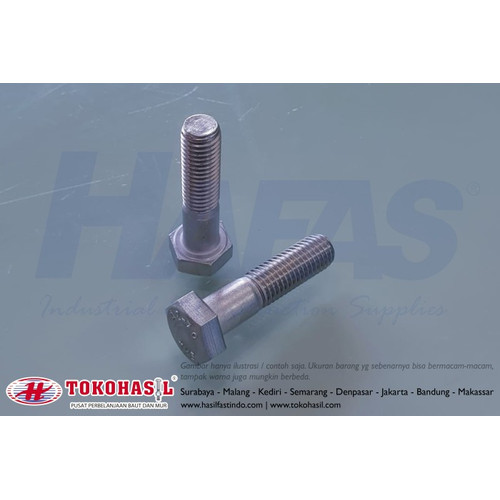 [EZR.2300445] Baut Stainless Steel A2 M10 x 60 - P1.50, HALF drat (SUS304)