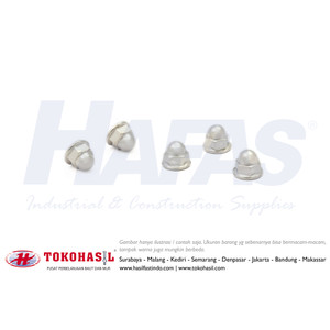 [EZR.2300619] Mur | Flange Cap Nut M10, K14 - P1.25 (nikel)