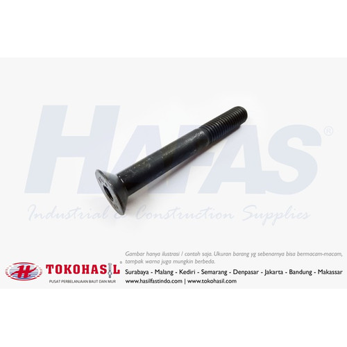 [EZR.2300647] Flat Socket Cap Screw M24 x 100 - P3.00 (Baut Flat L,Countersunk) Half