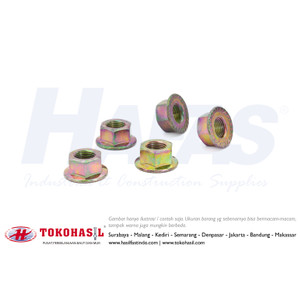 [EZR.2300834] Mur Flange / Flange Nut M4, K 7 - P0.70 (ECERAN)