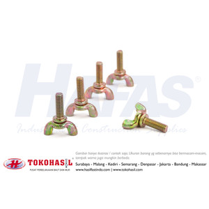 [EZR.2300892] Wing Bolt M4 x 10 - P0.70 (Baut kuping / kupu-kupu M4x10) ECERAN