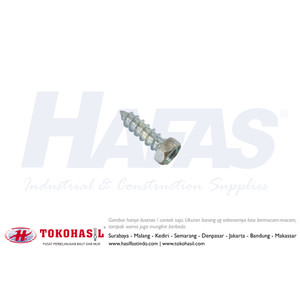 [EZR.2301198] Desk Screw / Lag Screw UCP 1/4 x 1 1/4" (putih)