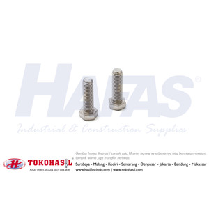 [EZR.2301474] Baut Stainless Steel A2 (B/O SS304 M 12 x 20) M12x20 - P1.75