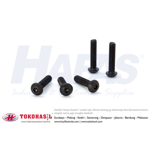 [EZR.2301587] Button Head Cap Screw 12.9 M4x8, M4 x 8 - P0.70 (ECERAN)