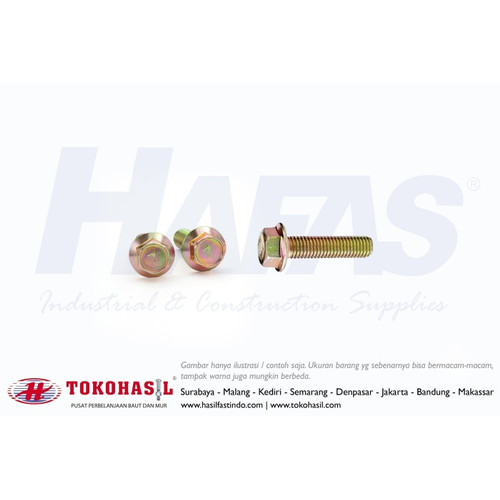 [EZR.2301615] Baut Flange / Flange Bolt M6x10, M6 x 10 - P1.00