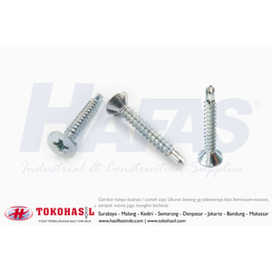 [EZR.2301665] Sekrup FH+ RIB Drilling Screw #6x1, #6 x 1" - 20T (Putih)