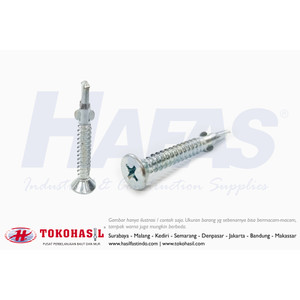 [EZR.2301664] Sekrup FH+ RIB Drilling Screw with Wing Driller M4.8x40 (Putih)