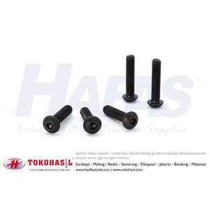 [EZR.2301924] Button Head Cap Screw 12.9 M3x6, M3 x 6 - P0.50