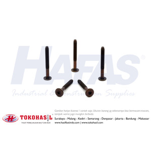 [EZR.2302333] Baut JCB-C M6x30 / M6 x 30 Under Size (antik)