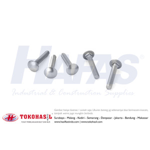 [EZR.2302341] Baut CB M6x25, B/O CB M6 x 25 - A2 (stainless steel)