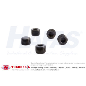 [EZR.2302587] BSPT Pressure Plug PT - 1, 11T