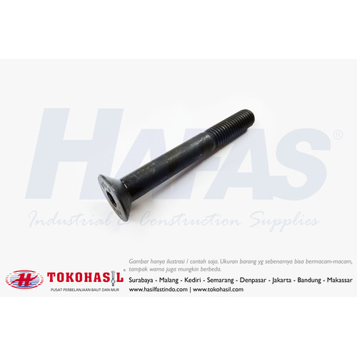 [EZR.2302611] Flat Socket Cap Screw M4 x 30 - P0.70 (Baut Flat L, Countersunk) Half