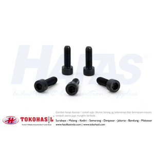 [EZR.2302822] Baut L M 6 x 30 mm - P1.00 (12.9) / Socket Cap Screw M6x30