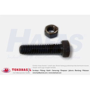 [EZR.2302899] Baut & Mur Inchi (B/N, BN UNC 1/4 x 3)