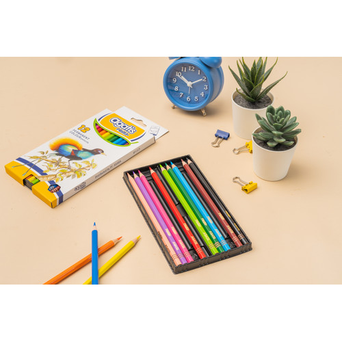 [EZO.7500102] Agatis Prime Pensil Warna 12 Warna