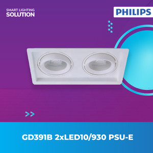 [EZM.1070066] Philips FlexAccent G2 GD391B 2 X 12W/930 PSU-E