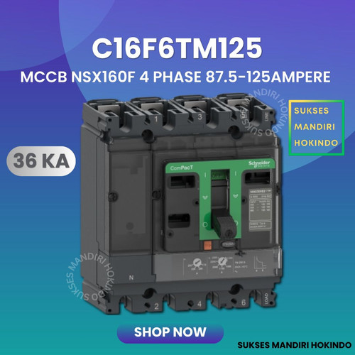 [EZM.1110115] MCCB 4 Phase 125 Ampere 4P 125A Breaker NSX160F 36kA C16F6TM125 4 Pas 125 Amper Schneider Original SNI